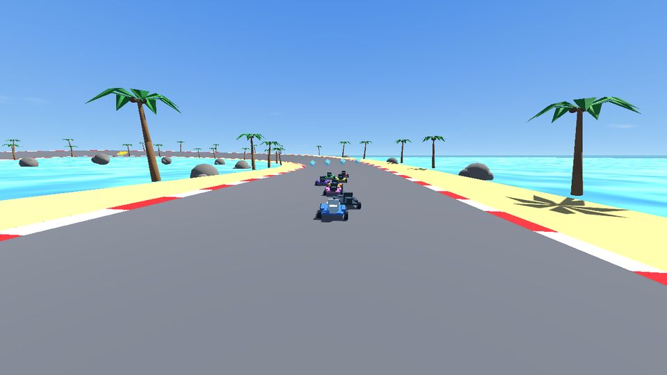 Course sur la Plage aux Palmiers